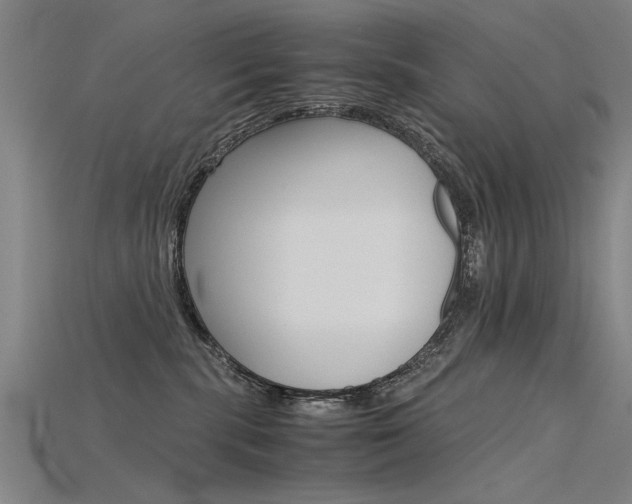 X0000115800283200911131028