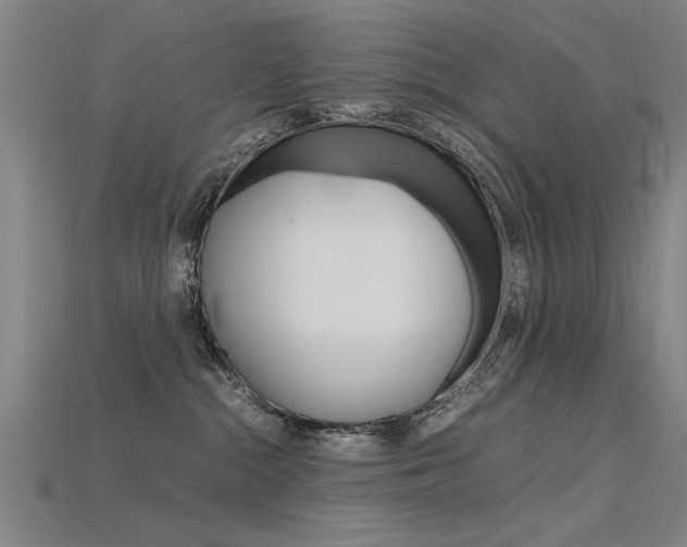 X0000115800284200911131028
