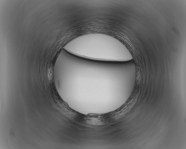 X0000115800285200911131028