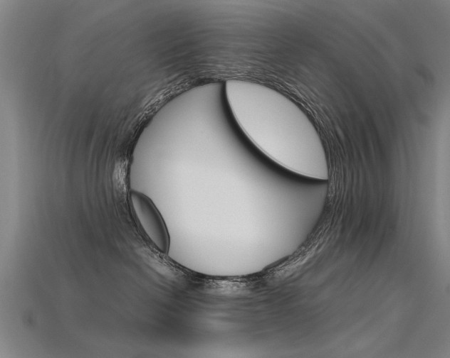 X0000115800286200911131028