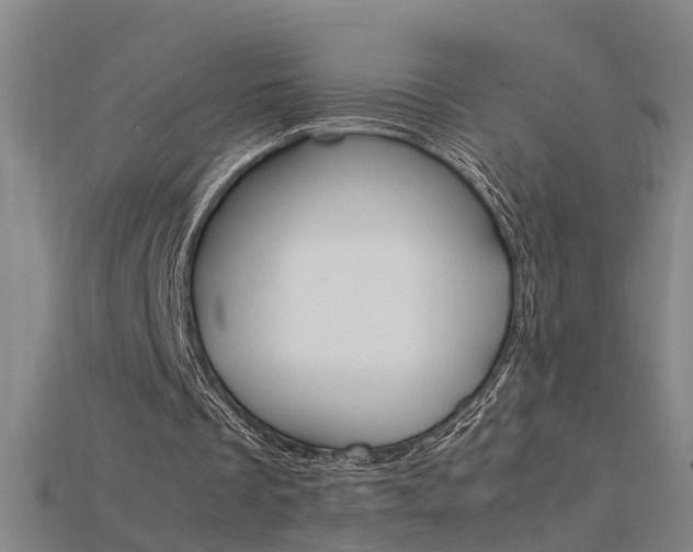 X0000115800289200911131028
