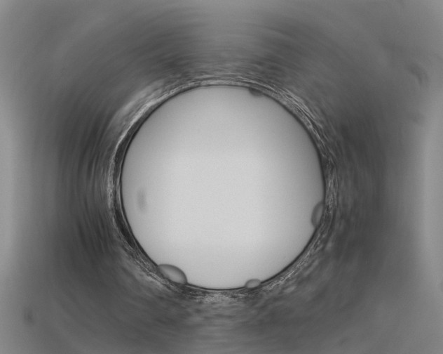 X0000115800290200911131028