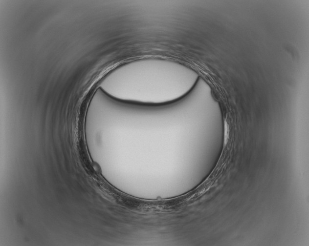 X0000115800291200911131028