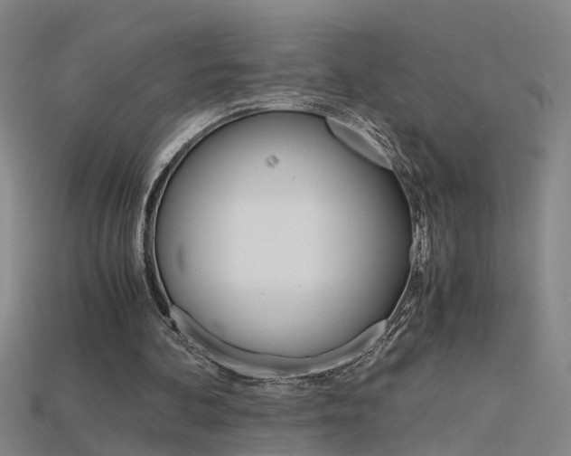 X0000115800292200911131028