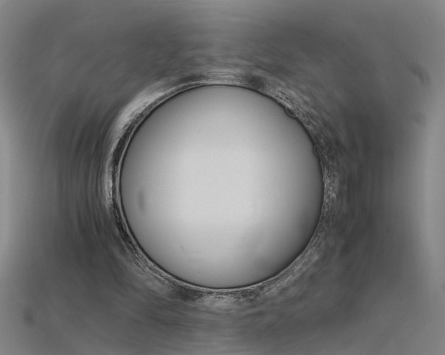 X0000115800294200911131028