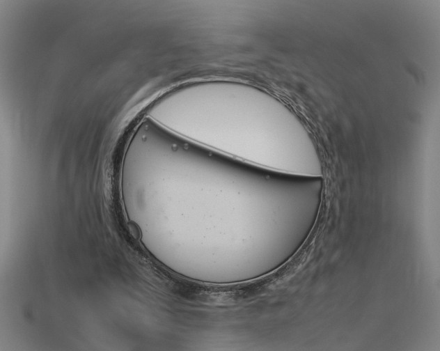 X0000115800295200911131028