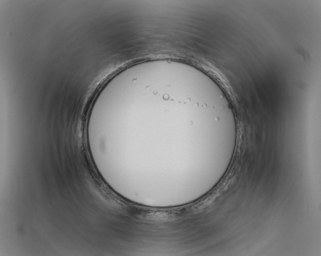 X0000115800298200911131028