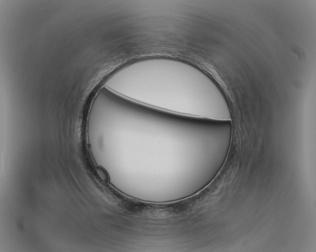 X0000115800299200911131028