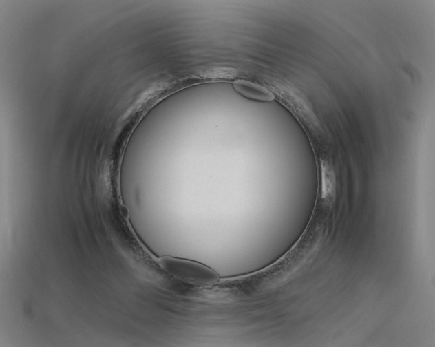 X0000115800300200911131028