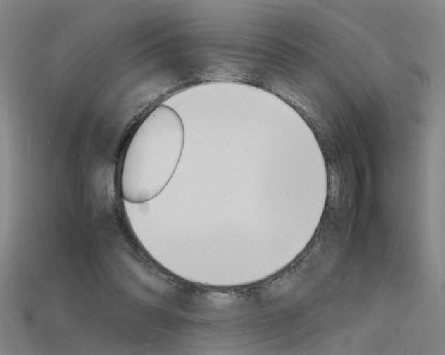 X0000115800302200911131028