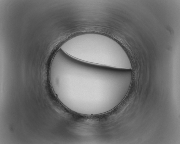 X0000115800303200911131028