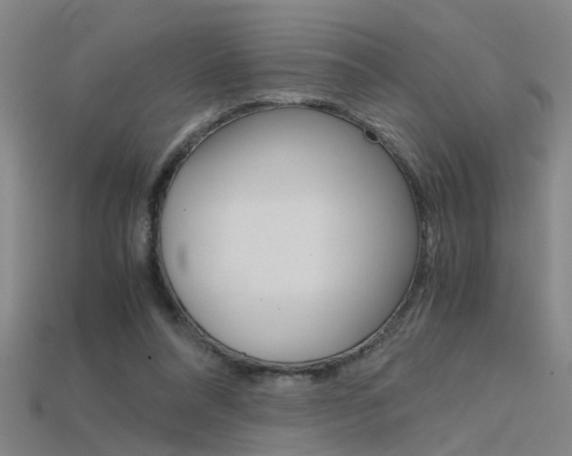 X0000115800304200911131028