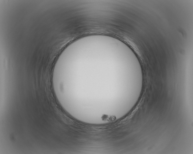 X0000115800305200911131028