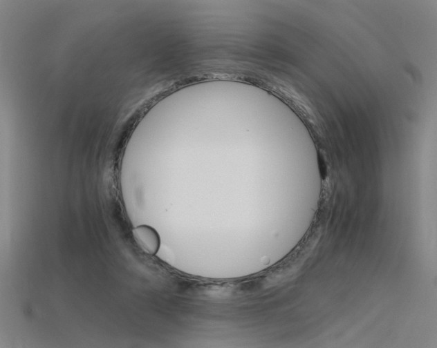 X0000115800306200911131028