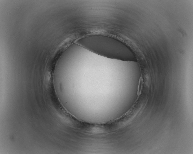 X0000115800308200911131028
