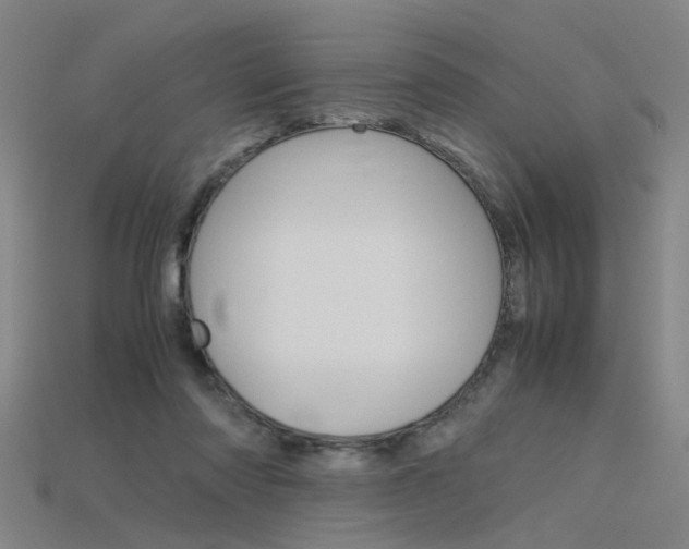 X0000115800310200911131028