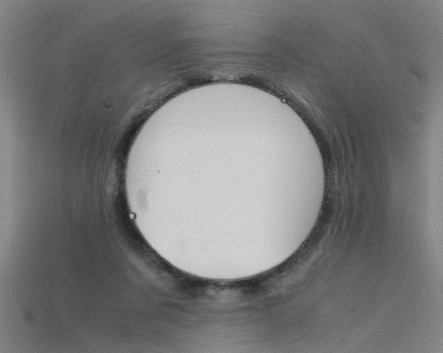 X0000115800311200911131028