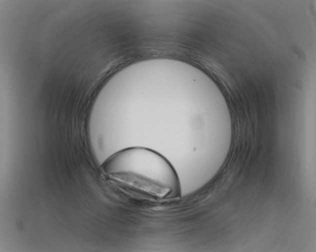 X0000115800312200911131028