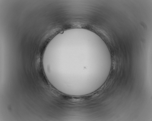 X0000115800314200911131027