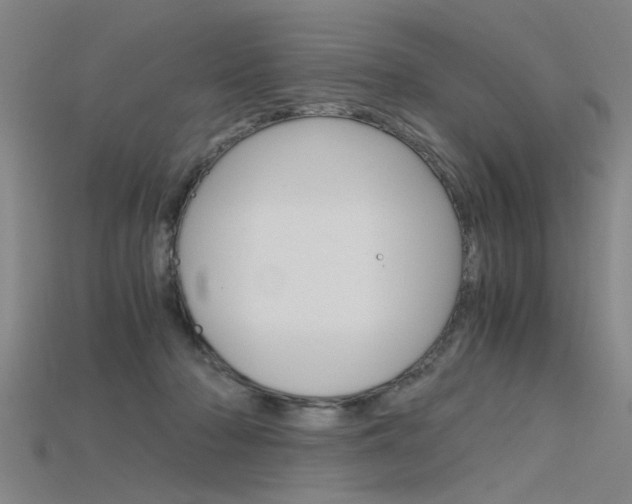 X0000115800318200911131027