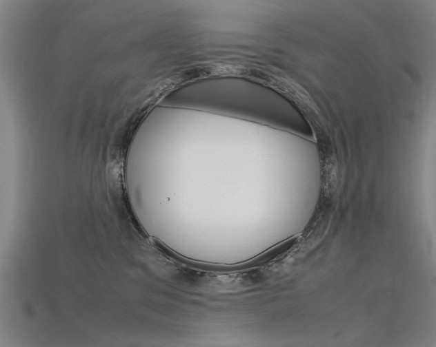 X0000115800329200911131027