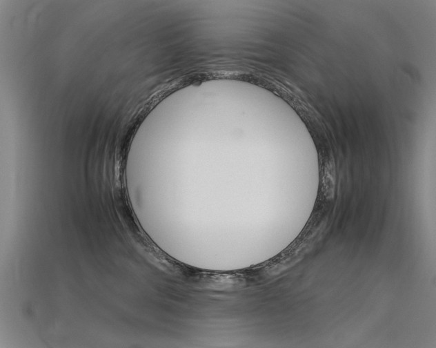 X0000115800330200911131027
