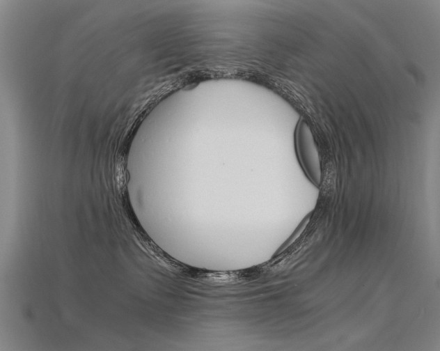 X0000115800335200911131027