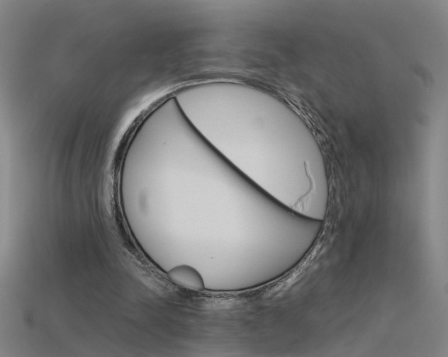 X0000115800342200911131027