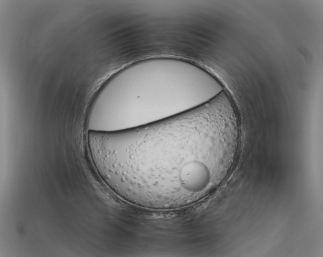 X0000115800345200911131027