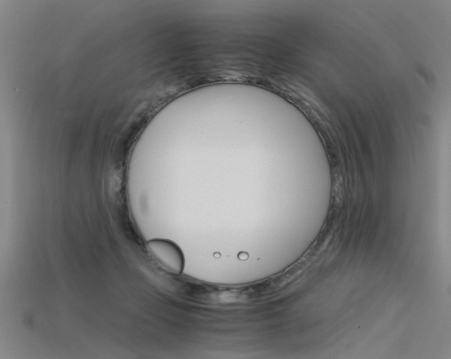 X0000115800365200911131027