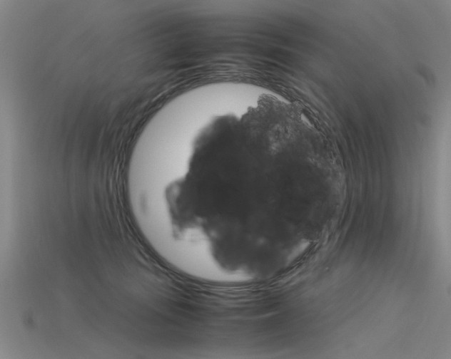 X0000115800371200911131027