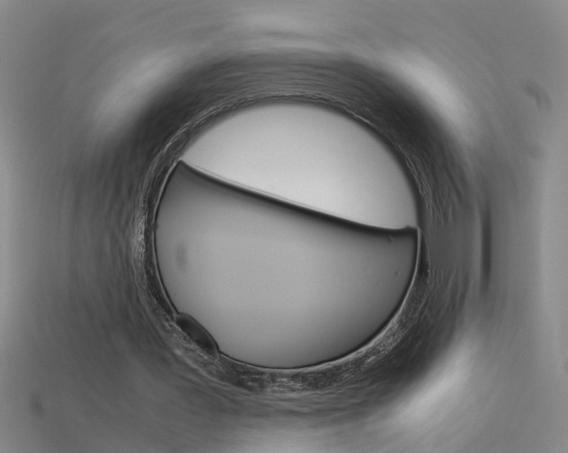 X0000115800387200911131027