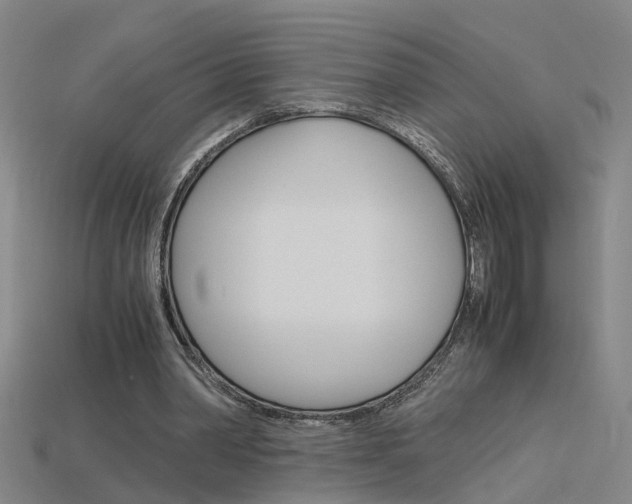 X0000115800390200911131027