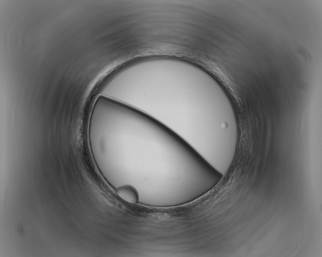 X0000115800392200911131026