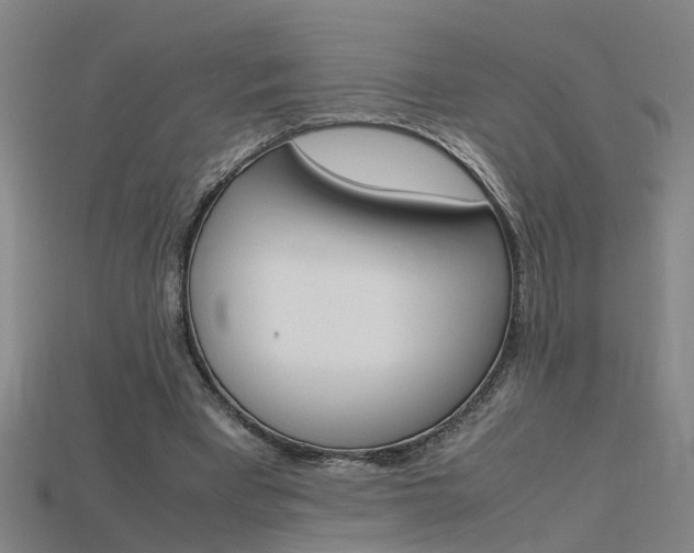 X0000115800393200911131026
