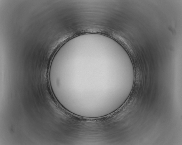 X0000115800394200911131026