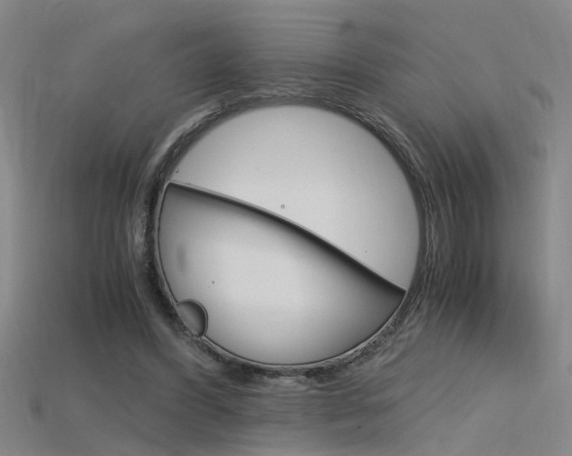 X0000115800396200911131026