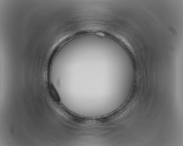 X0000115800399200911131026