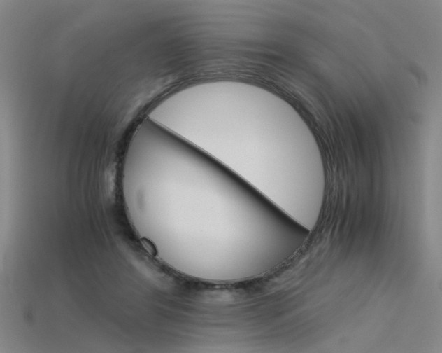 X0000115800404200911131026