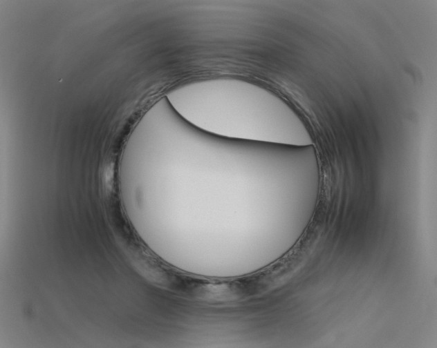 X0000115800406200911131026