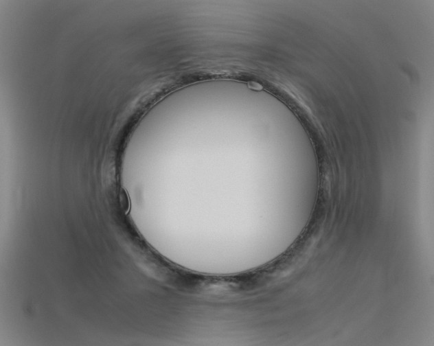 X0000115800407200911131026