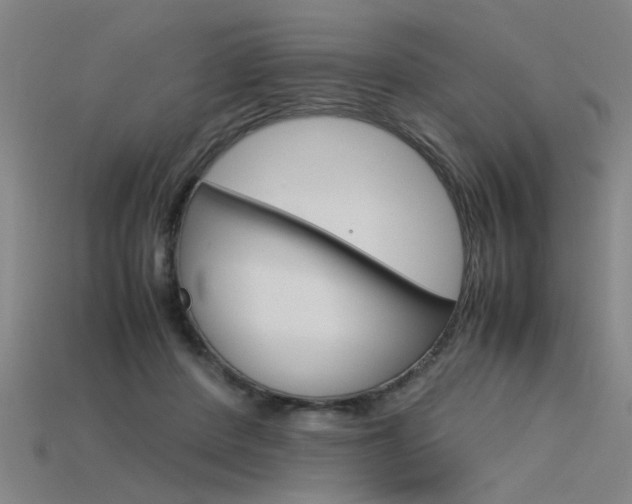 X0000115800408200911131026