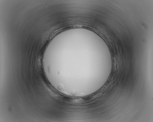 X0000115800410200911131026