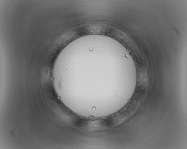 X0000115800411200911131026