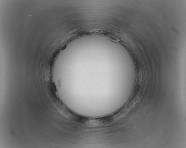 X0000115800413200911131026