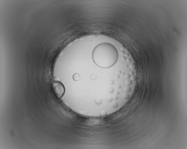 X0000115800418200911131026