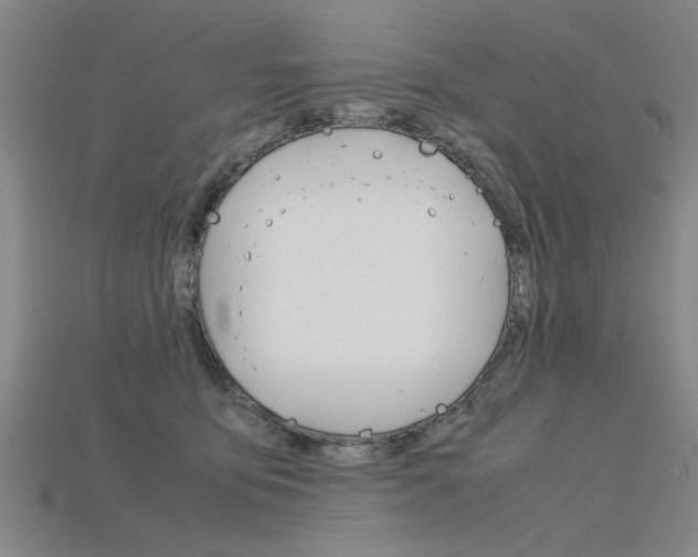X0000115800419200911131026