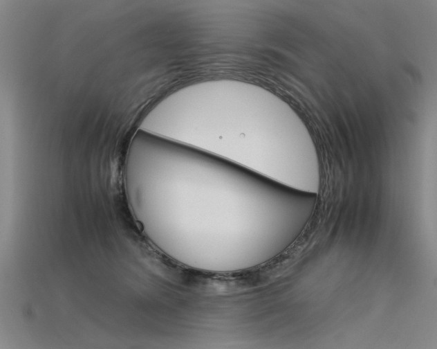 X0000115800420200911131026