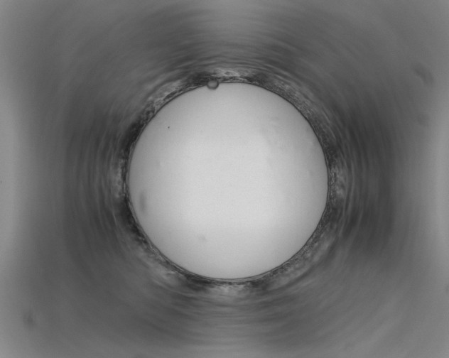 X0000115800422200911131026