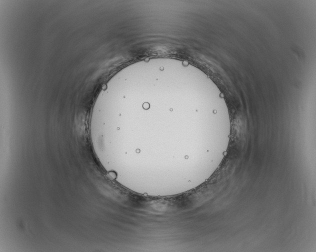 X0000115800423200911131026